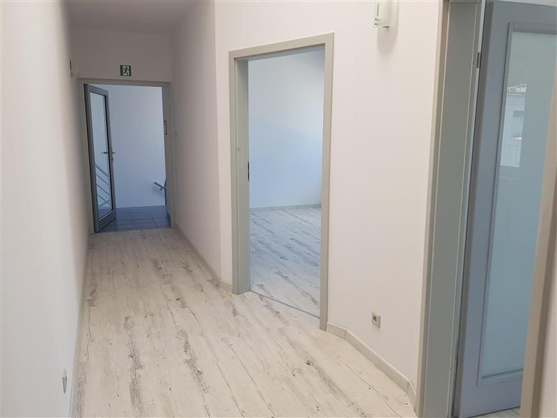 FO0 1 12249981 28 484