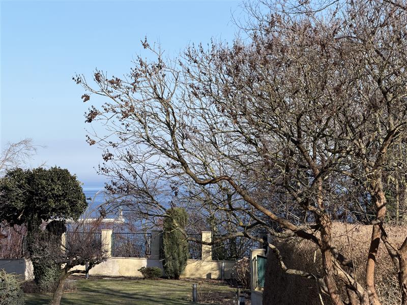 FO0 1 12405390 10 188